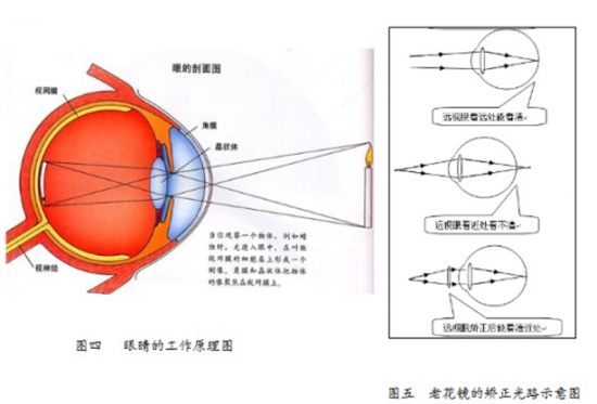 美麗島眼鏡：老花鏡不可隨意亂帶，需要在專(zhuān)業(yè)驗光后科學(xué)配制